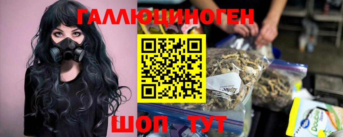 Галлюциногенные грибы Psilocybe Урай